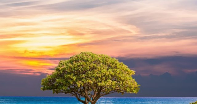 Relaxation pour retrouver de l'énergie