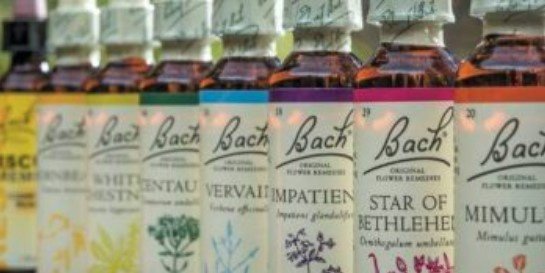 Séance : FLEURS DE BACH ADULTE